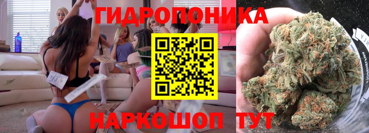 Бошки марихуана сатива  Конопля тримм  Вход с VPN  Конопля марихуана  Канск 